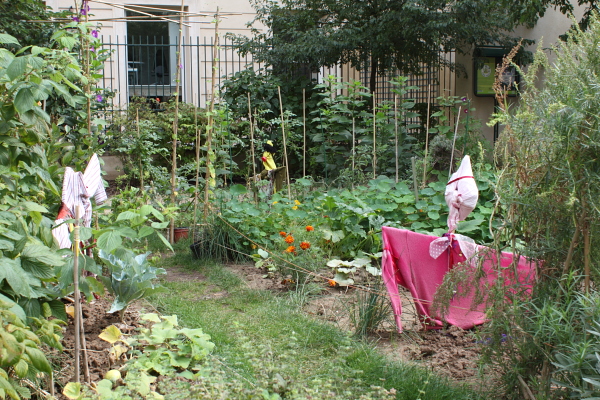 anne frank early sept Jardin Anne Frank, early September. Photo © 2010 Alan Miller.