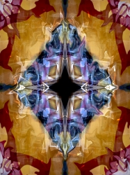 venicerefection-4-ii_